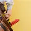 Handyman repair service in Little Rock, AR for home fixes and improvements