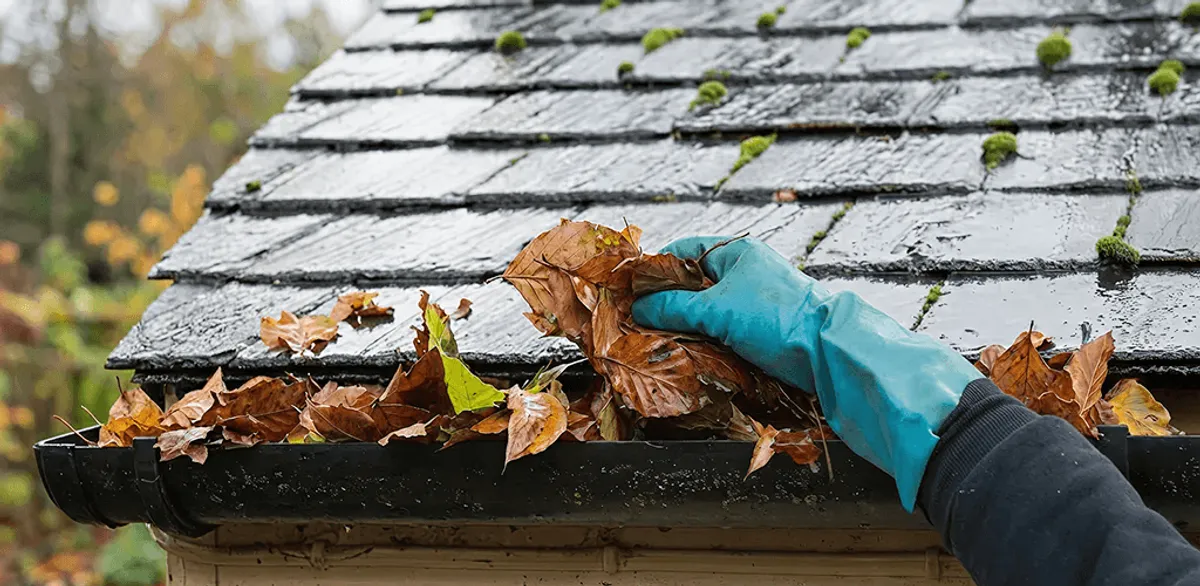Gutter cleaning technician clearing wet leaves from roof gutters in Little Rock, AR